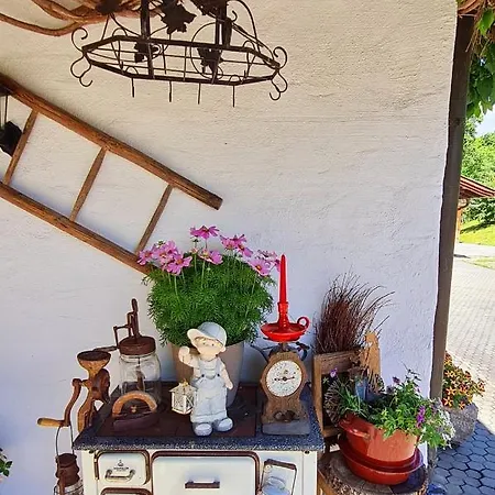 Daire Woidzauber Mit Sauna Zwiesel